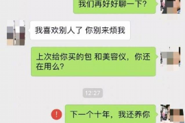 宝应县宝应县讨债公司服务